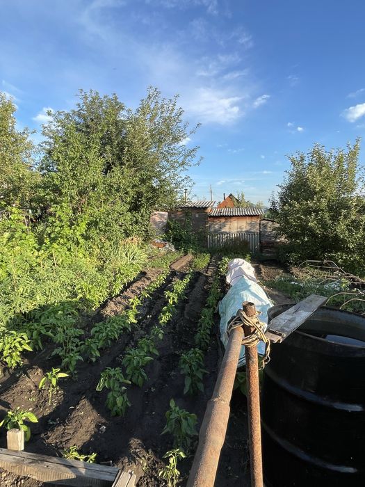 Продается дача с урожаем.