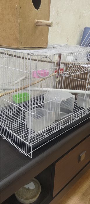 Клетка для попугая или кроликов