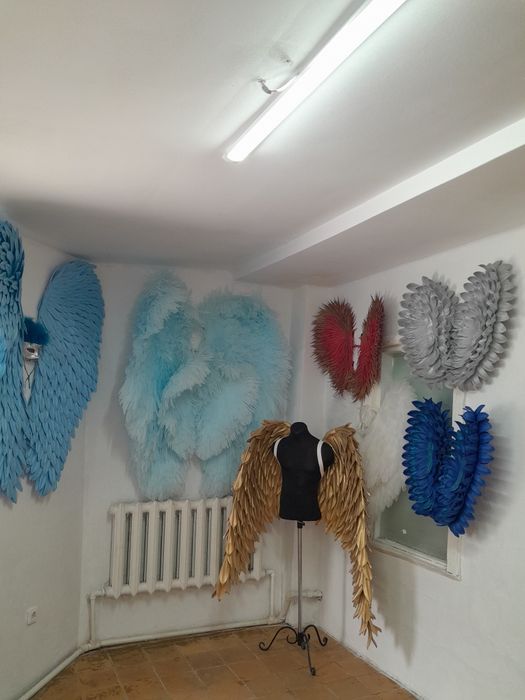 Крылья   ангела  !!!