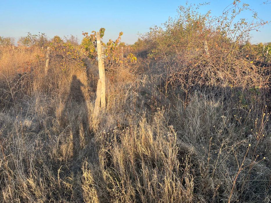 Продава се Парцел в с. Марково, Област Пловдив - 1760 кв.м за 56 €/кв.м - Снимка #2