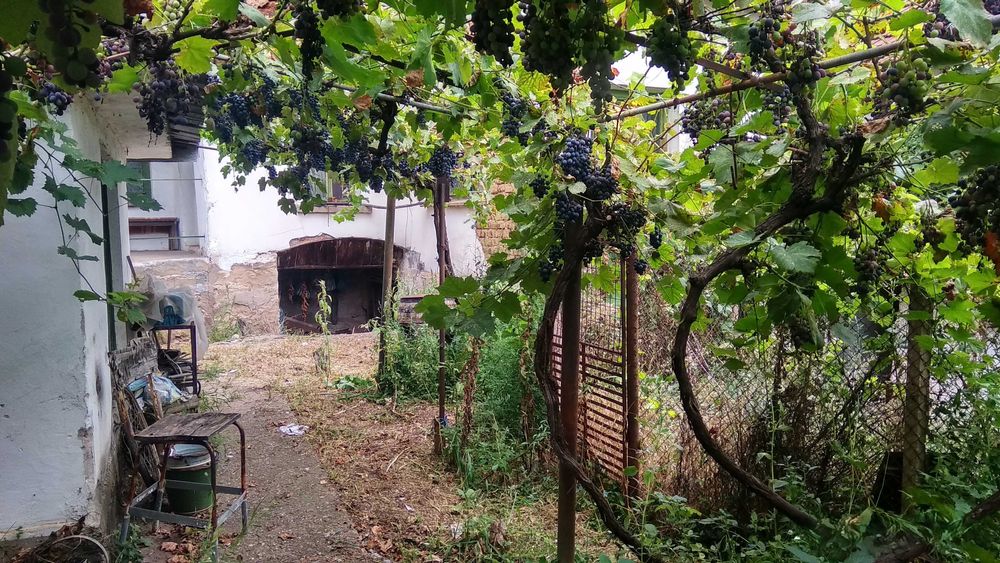 Продава се Къща в с. Громшин, Област Монтана - 150 кв.м за 99 €/кв.м - Снимка #15