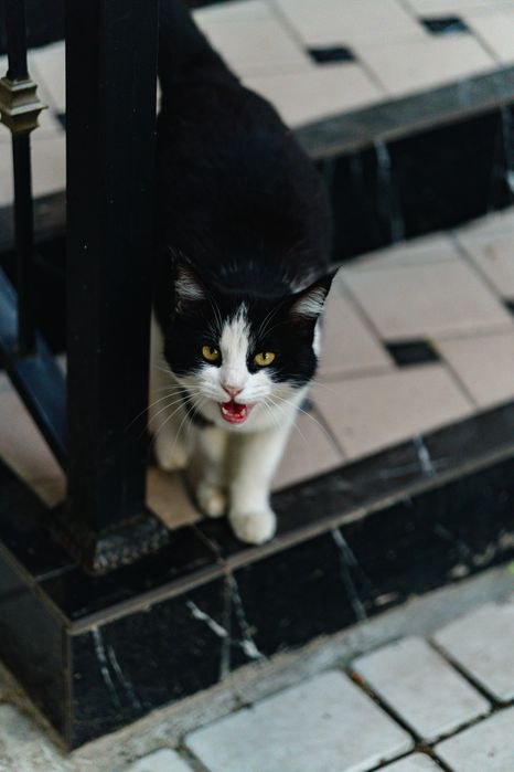 Объектив Sigma 56mm f/1.4 DC DN (для Sony E)