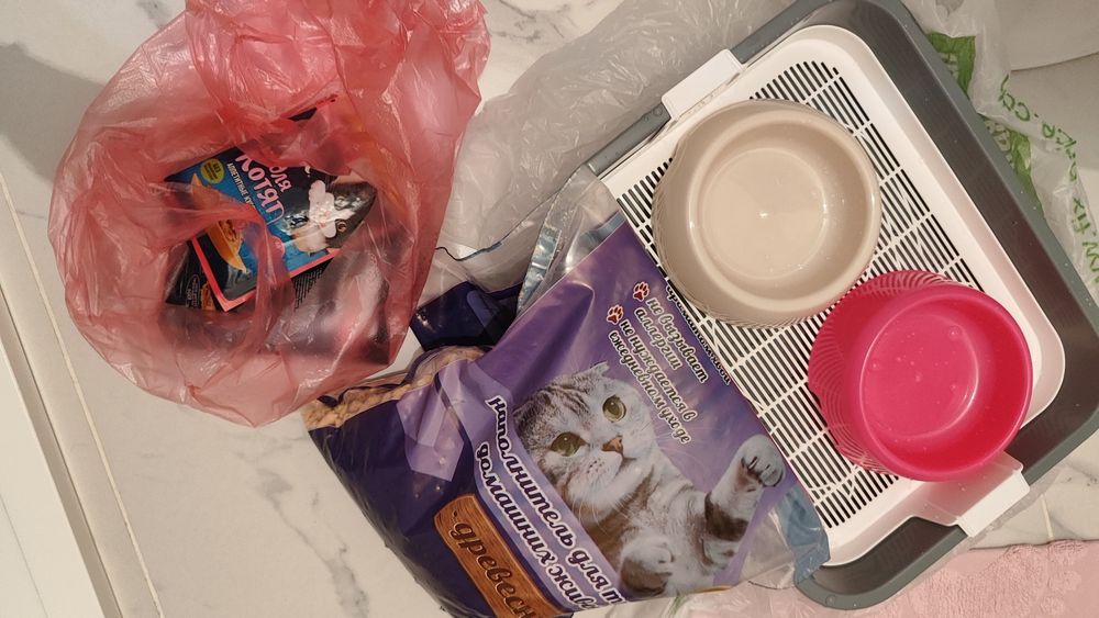 Набор для котёнка новое