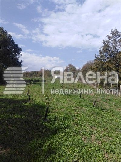 Разработена овощна градина в землището на с. Изгрев