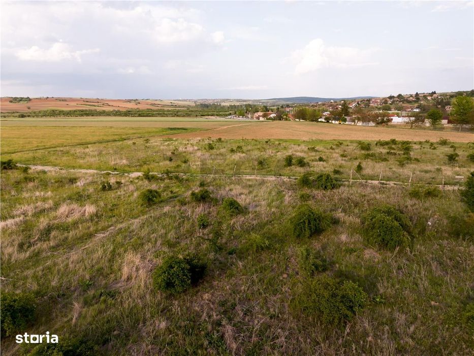 RECO Teren de vanzare Paleu 1025mp