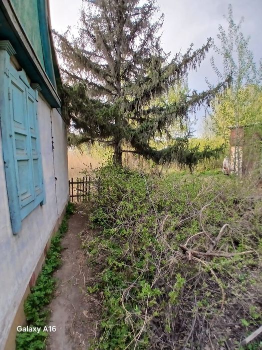 Продам летнюю дачу