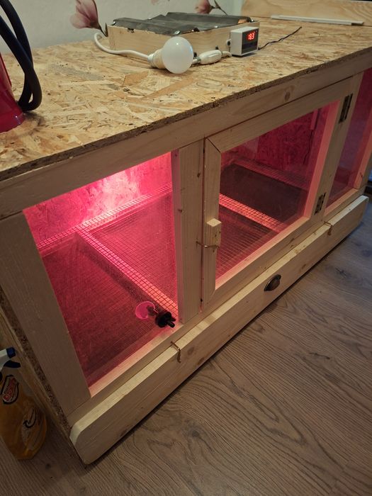 Maternitate pui,125/65