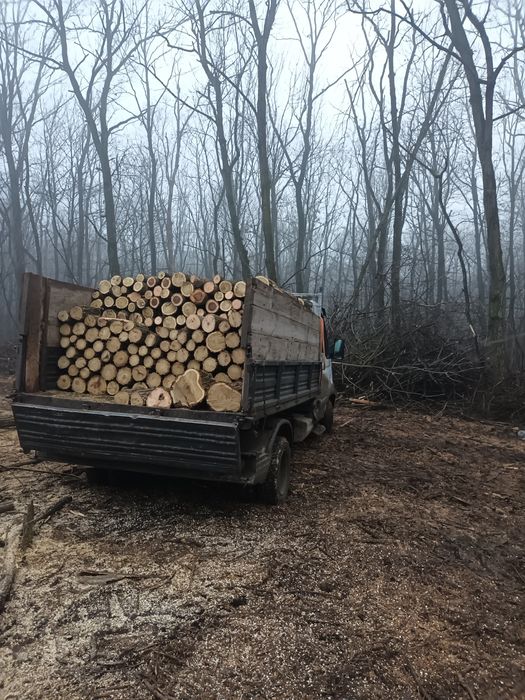 Vând renault mascot