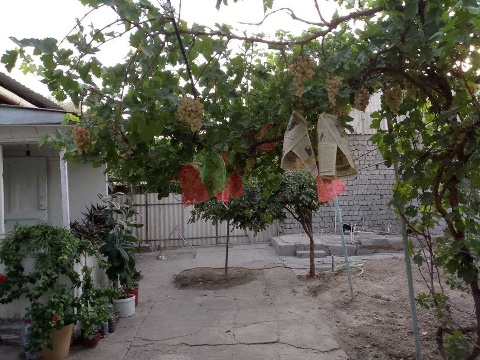 Срочно продается дом в Яшнабадском районе ул.Фергана йули 3,5 сотки