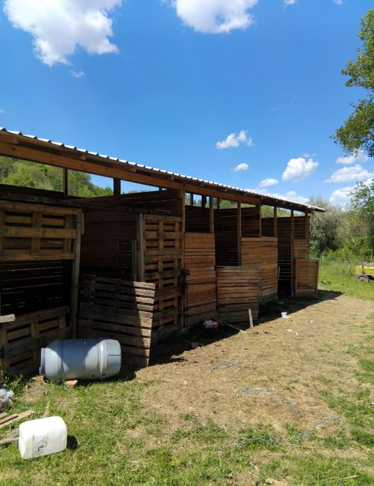 Продава се Парцел в с. Рашка Гращица, Област Кюстендил - 11000 кв.м за 2 €/кв.м - Снимка #1