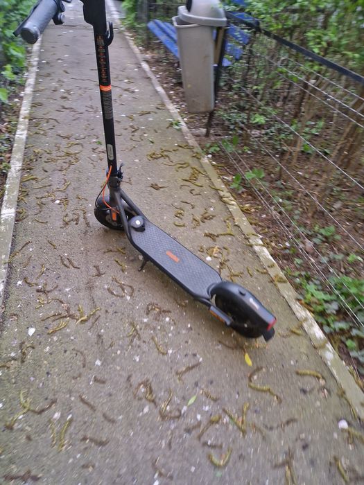 Trotineta ninebot  f2