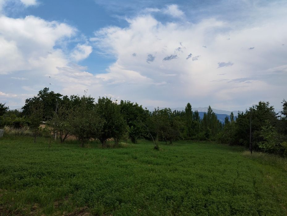 Bostonliq tumanida yer sotiladi