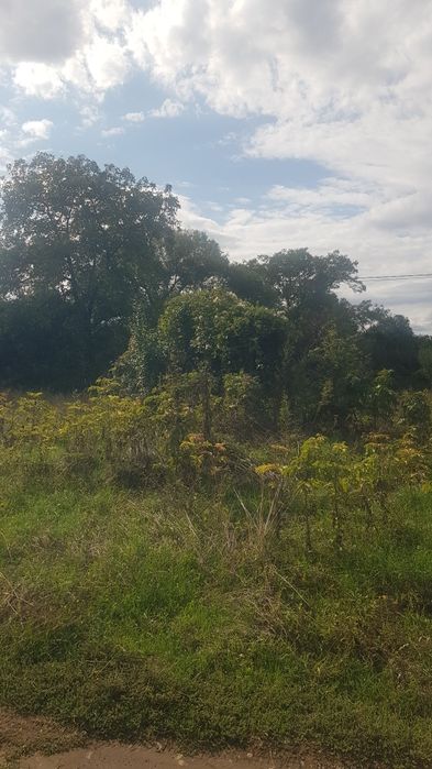 Продава парцел в гр.Сапарева баня