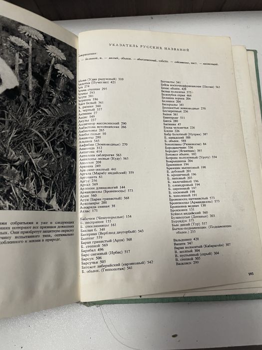 энкиклопедия животных, книга