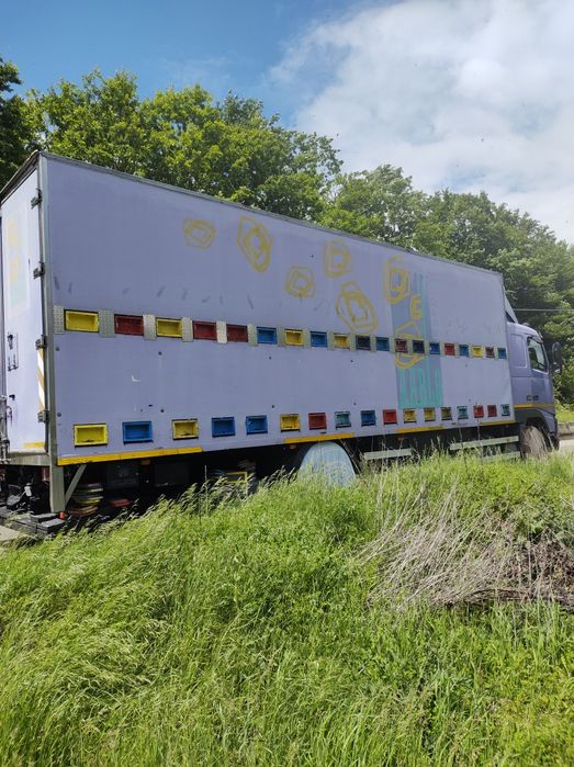 LICHIDEZ STUPINĂ Vând camion neomologt apicol, VOLVO și remorca  2 axe