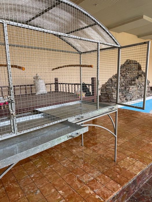 клетка для птиц