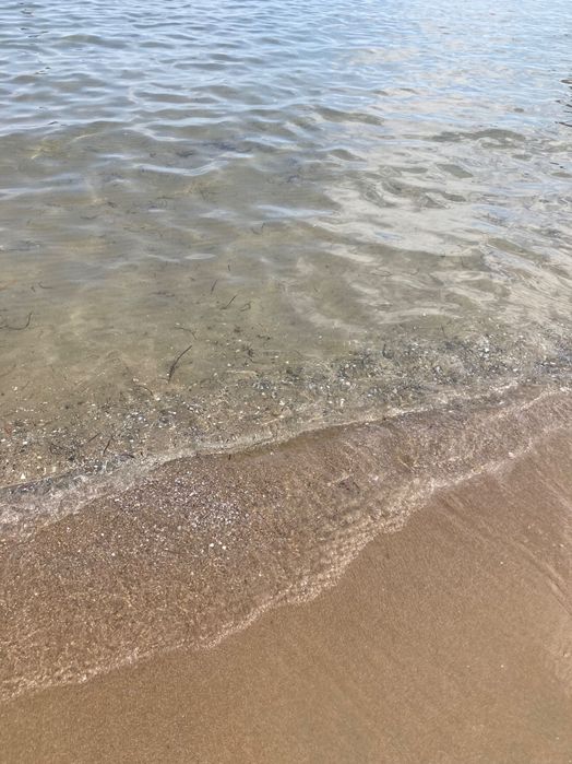 Каравана под наем -  60 евро нощувка