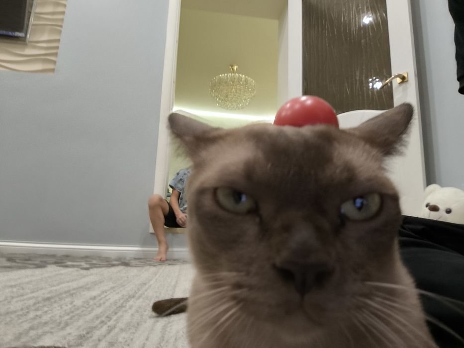 Европейская БУРМА