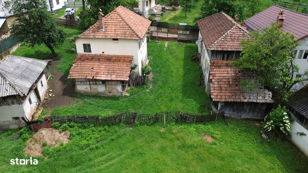 Case Parintesti, Com. Vulturesti, 3600 mp, zona superba