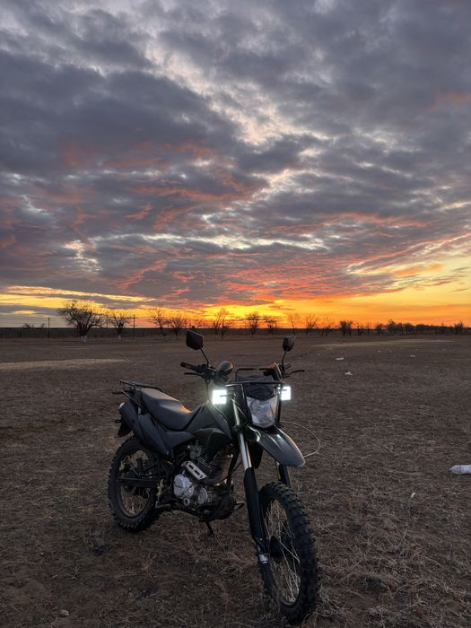 Желмая м19+ сатылады