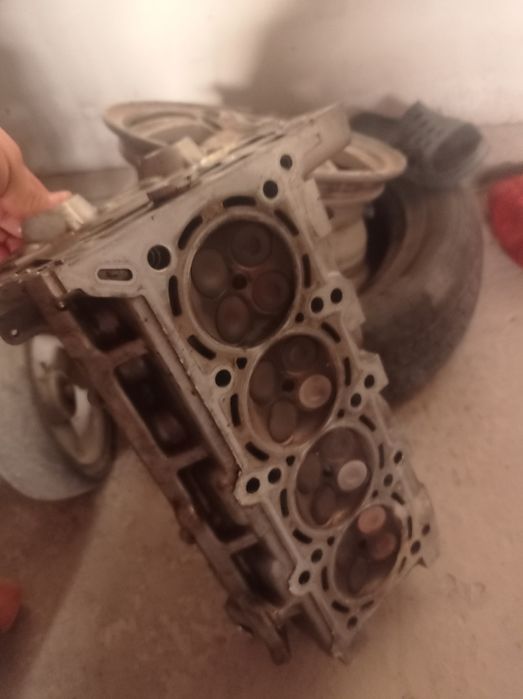 Кобылт родной галопкыс 2014 жыл жагдай жаксы