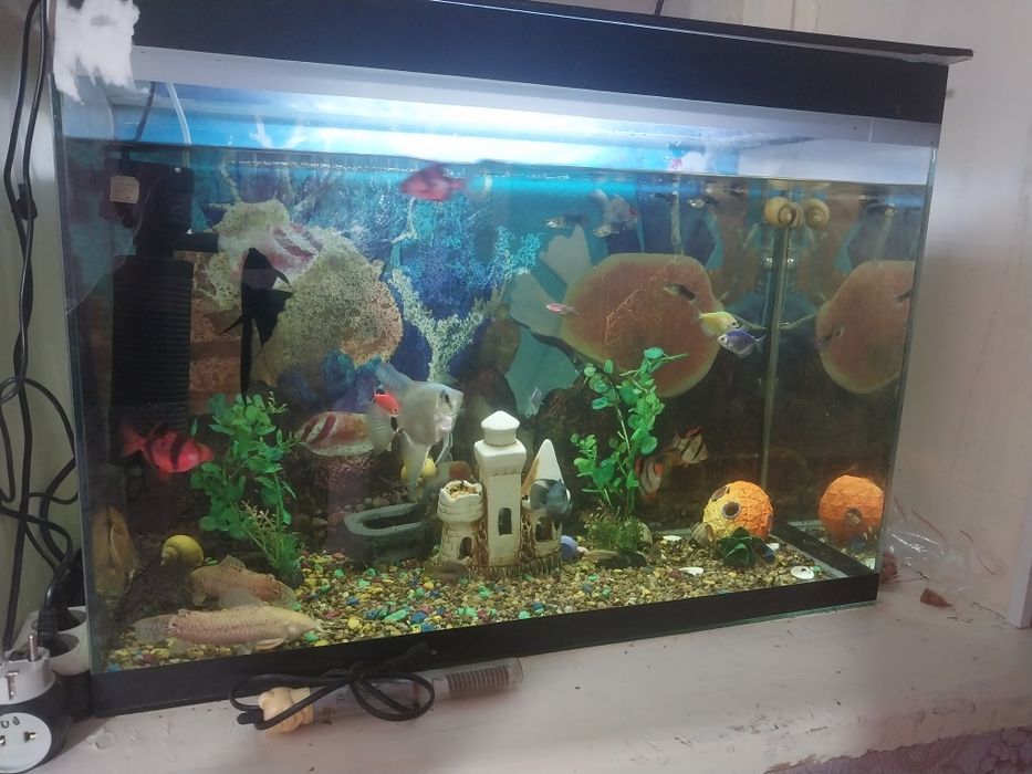 Продам Аквариум 100л