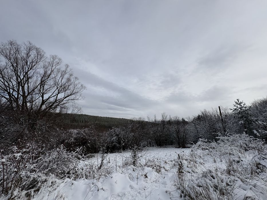 Незастроен парцел в с.Габра