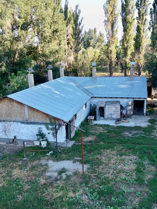 Продам фазенду, откорм базу