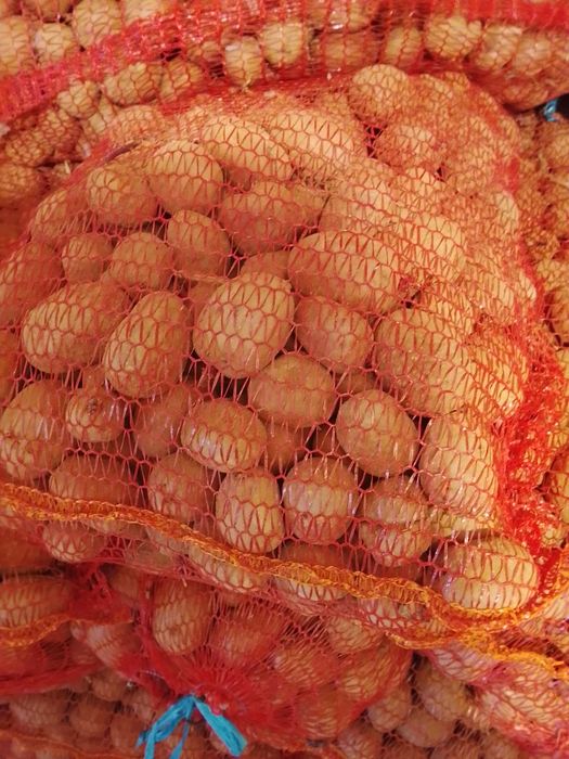 Cartofi pentru animale