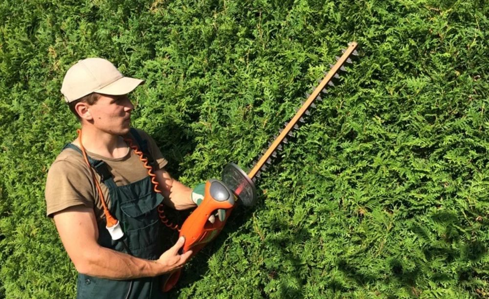 Услуги садовника разумные цены