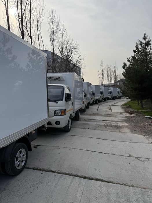 labo va shu kabi euk aftomabilarga burka easash hizmati