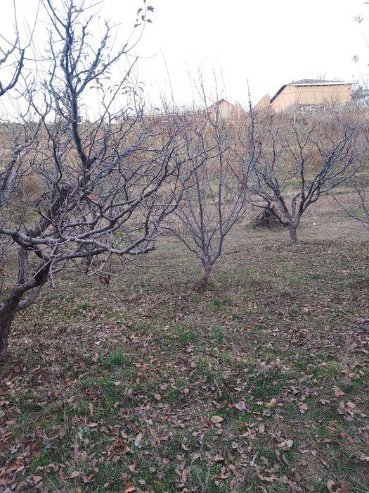 Yer sotiladi yaxshi narxda