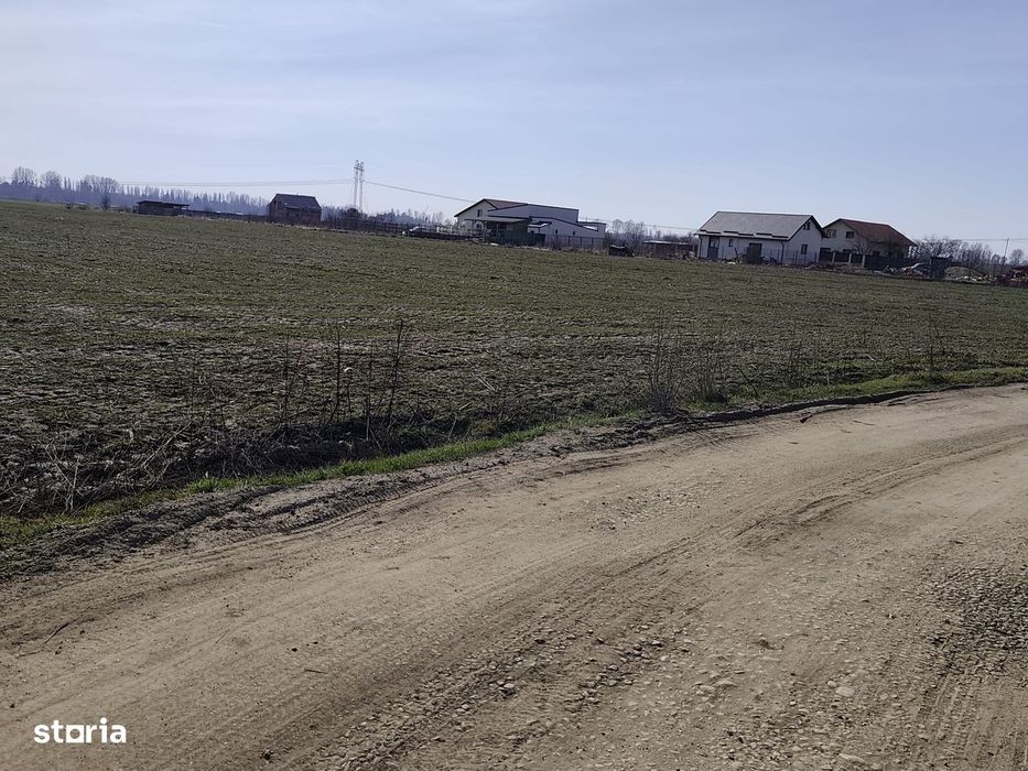 FARA COMISIOANE in Sabareni teren in suprafata de 23200mp gaze curent
