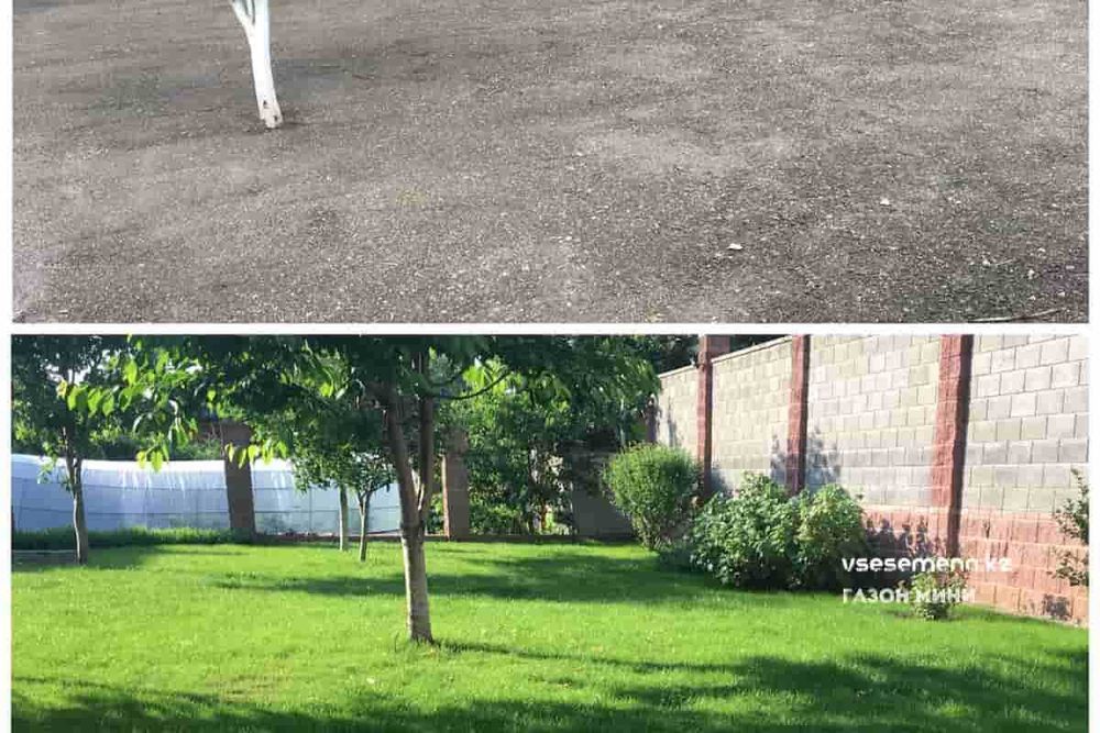 Семена газона DLF. 3 вида на выбор