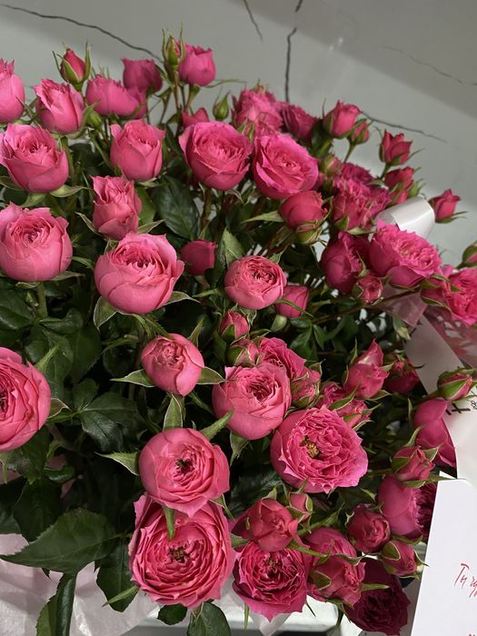 Кустовые, свежие розы