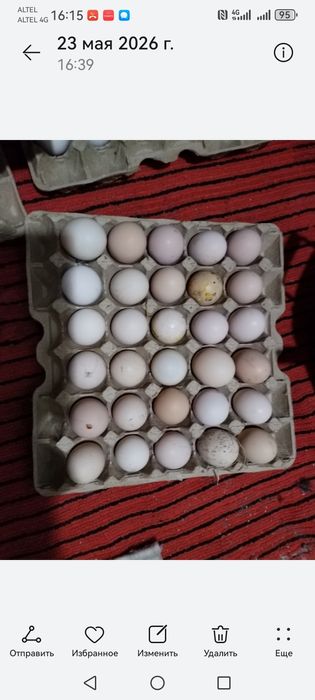Продам домашние яйца по 80 тен