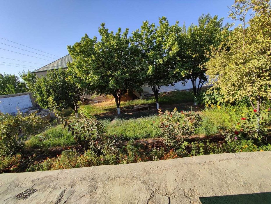 Срочно!!! Тайер участка сотилади