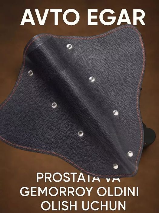 Avto egarlar dostavka