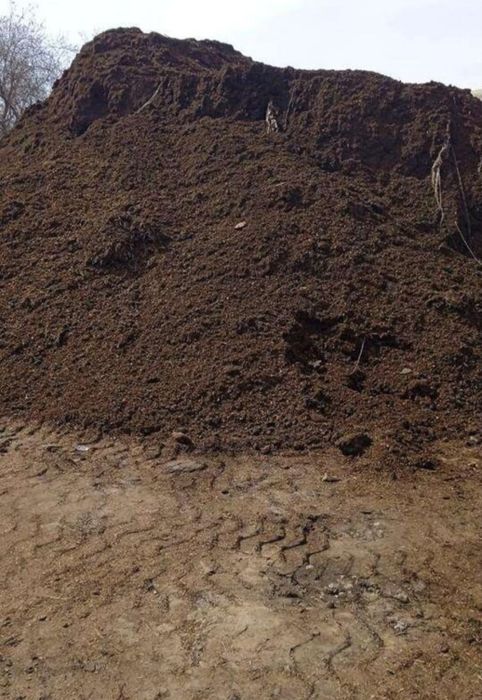 Чёрнозем плодородной и перегной