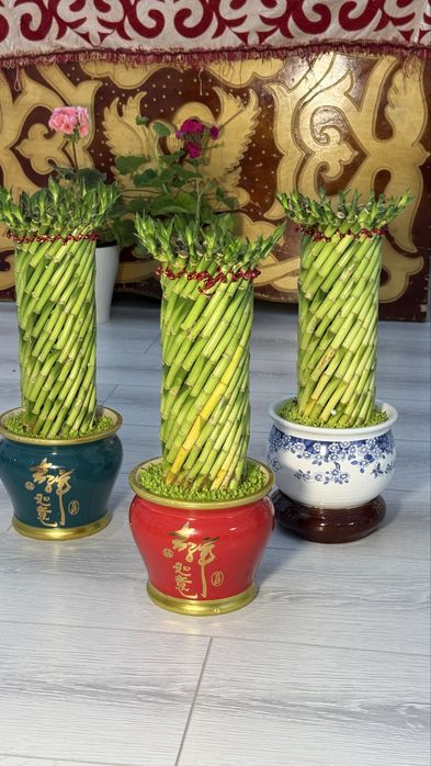 Бамбук в керамике