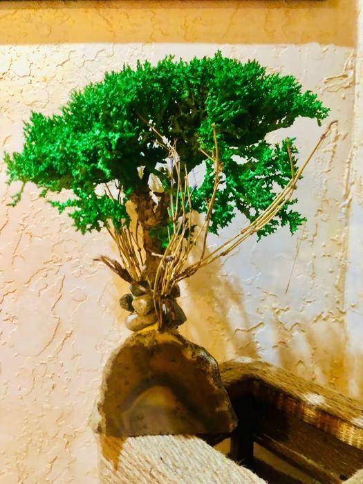 Бансай на агате дизайнерская работа