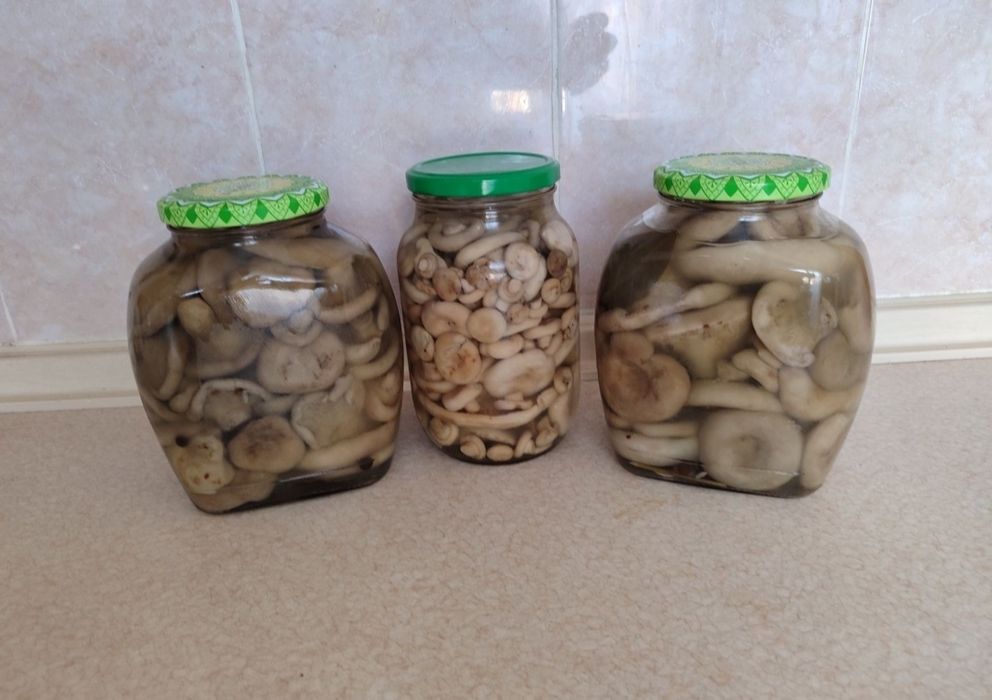 Грузди солёные,хрустящие.