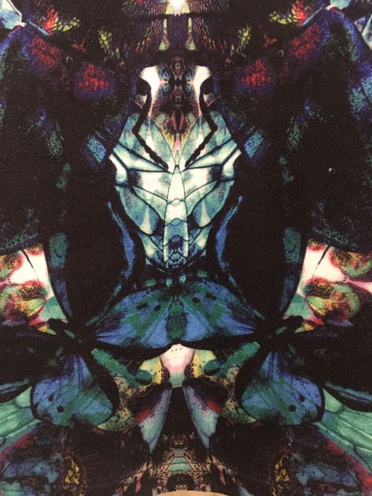 Пола с висока талия “Roomates”