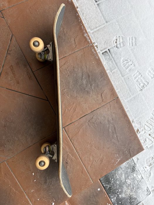 Skateboard freestyle