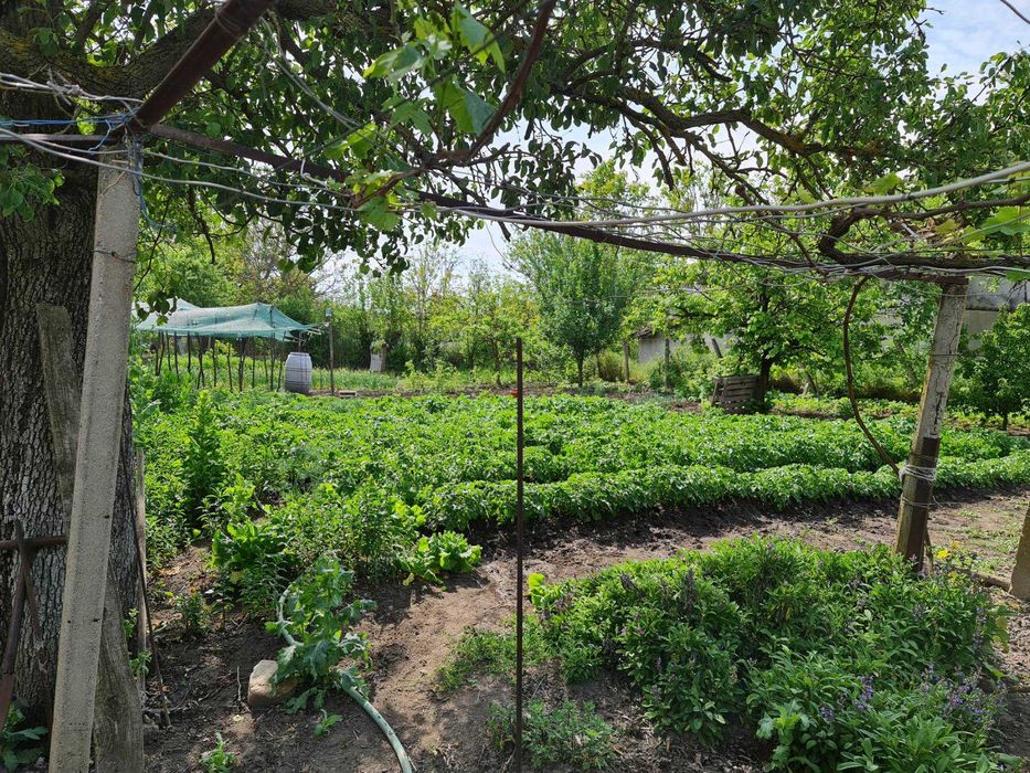 Продавам къща в кв. Бряг