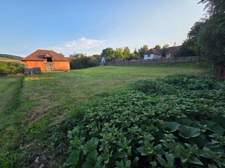 Teren intravilan 2.800 m² cu clădire, curent trifazic și pârâu – Ghipeș (25 min de Odorhei)