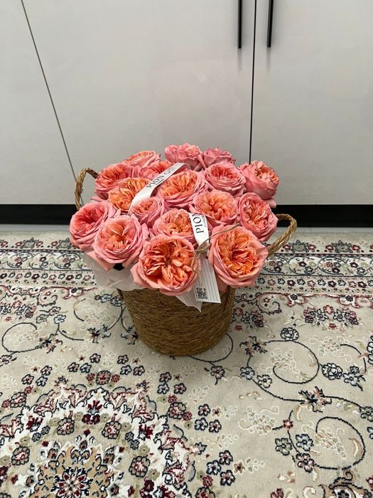 Гул цветы шымкент