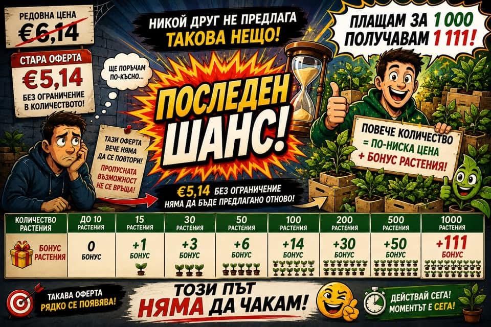Първокласен инвитро разсад боровинки + бонус растения до средата на септември!