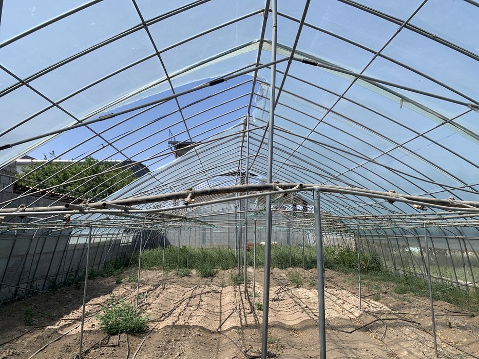Теплица 2019 г
