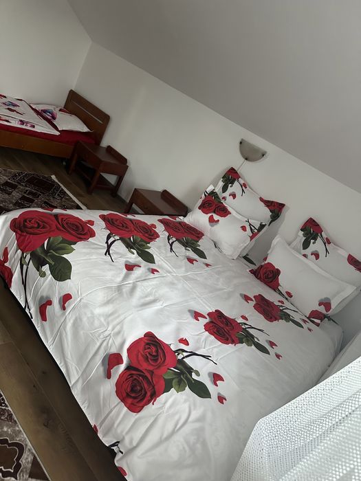 Cabana băile figa Cole și Denisa